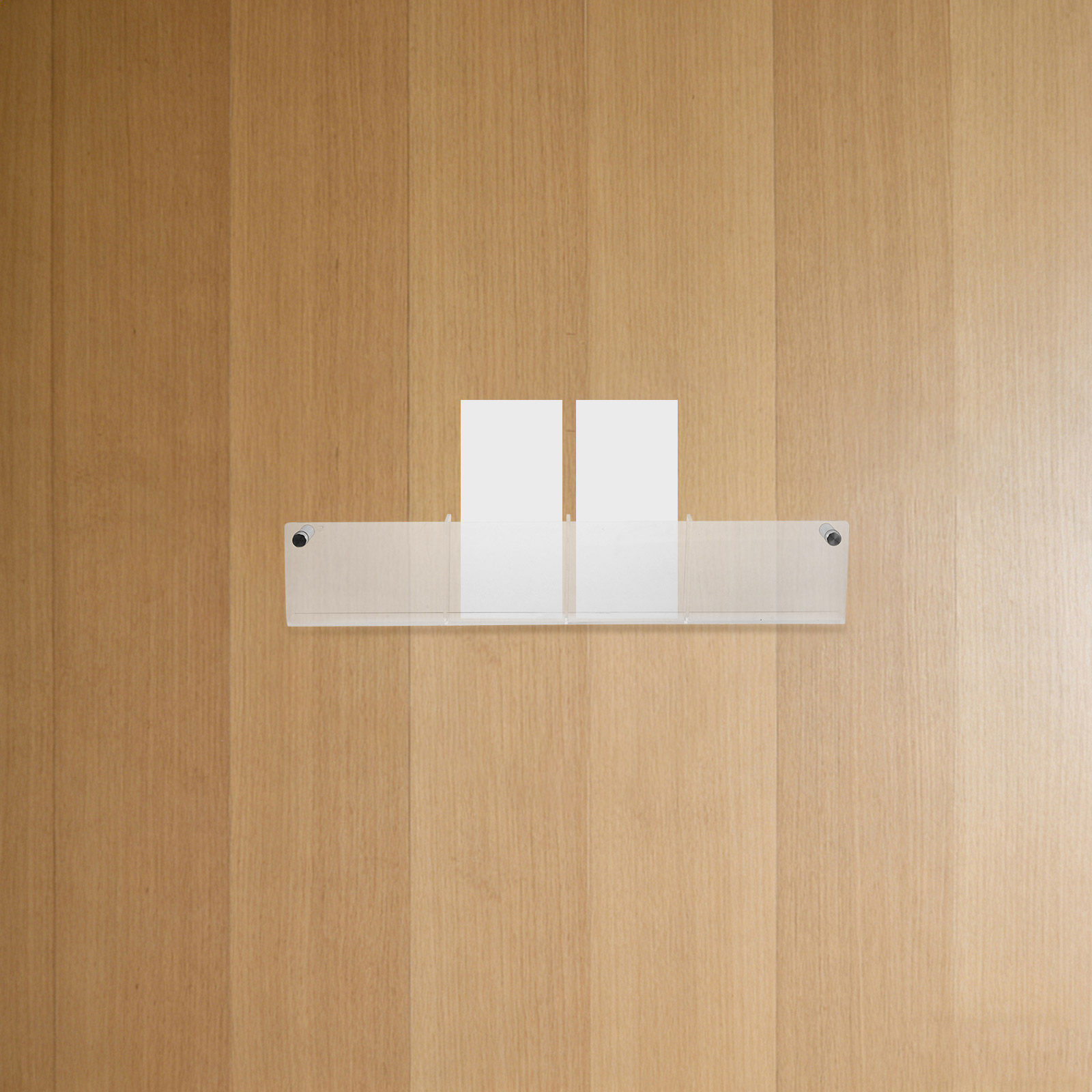 Wall Mounted Acrylic Brochure  - Magazines 评论和价格